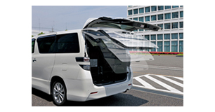Power Back Door System